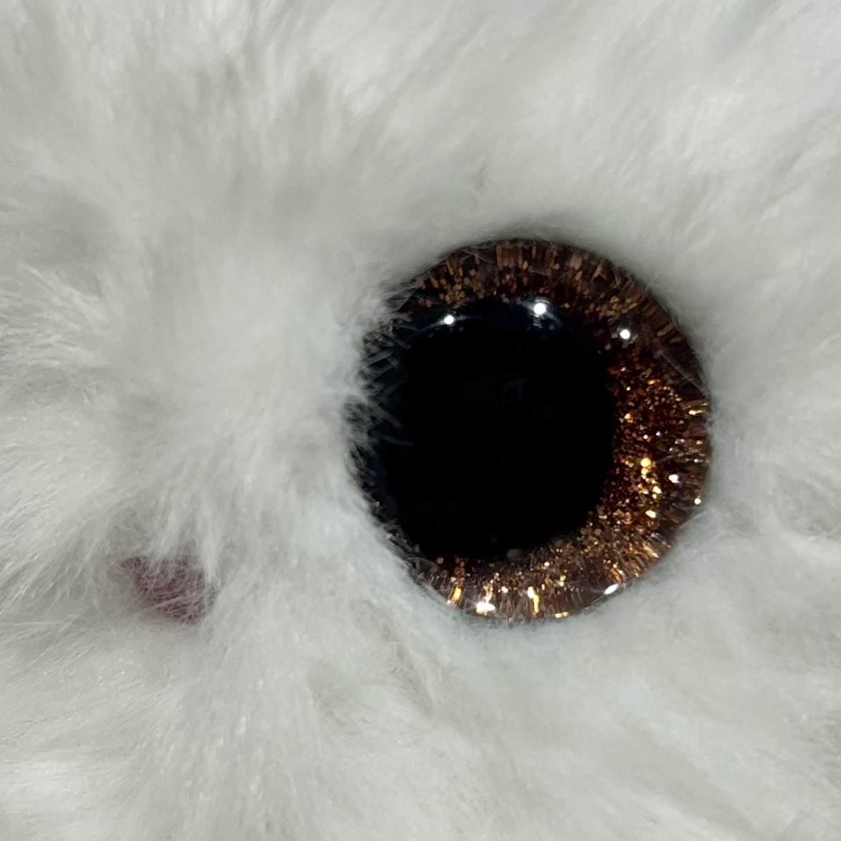 Eye Color - Bronze Brown